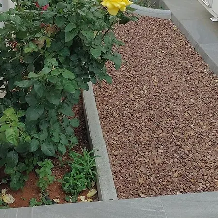 Anemelie Sotira (Famagusta)